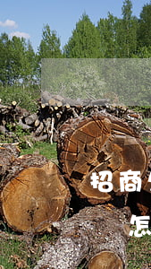 招商欠信用卡幾千塊錢(招商欠信用卡幾千塊錢怎么辦)