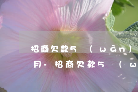 招商欠款5萬(wàn)逾期4個(gè)月-招商欠款5萬(wàn)逾期4個(gè)月會(huì)被起訴嗎