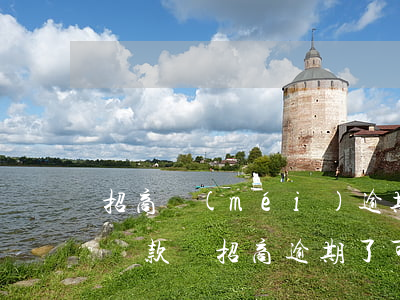 招商沒(méi)逾期可以協(xié)商還款嗎(招商逾期了可以打電話給銀行協(xié)商還款嗎)