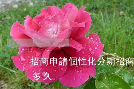 招商申請個性化分期(招商申請個性化分期要多久)