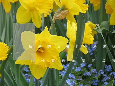 招商的信用卡有過逾期可以過嗎-招商的信用卡有過逾期可以過嗎知乎