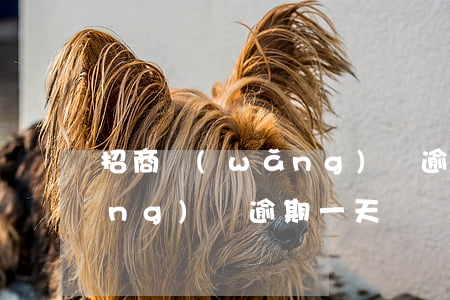 招商網(wǎng)貸逾期-招商網(wǎng)貸逾期一天