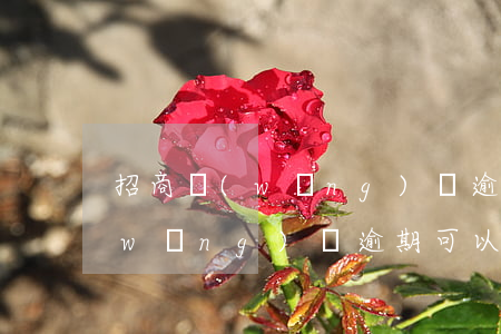 招商網(wǎng)貸逾期有什么影響 網(wǎng)貸逾期可以辦招商信用卡嗎