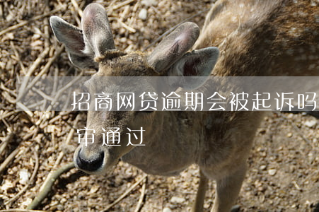 招商网贷逾期会被起诉吗-网贷逾期招商初审通过