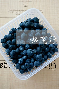 招商行協(xié)商還款