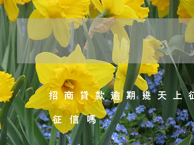 招商貸款逾期幾天上征信(招商逾期兩天會上征信嗎)