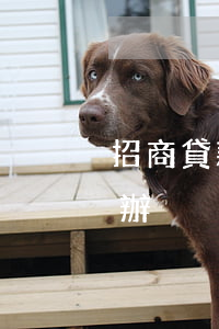 招商貸款逾期提前收回-招商貸款逾期怎么辦