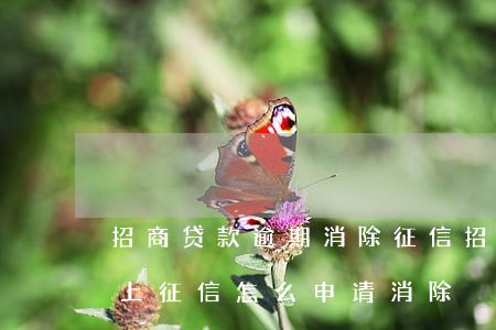 招商贷款逾期消除征信(招商信用卡逾期多久上征信怎么申请消除)