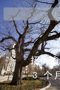 招商逾期2万3个月怎么协商(招商逾期2万3个月怎么协商)