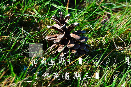 招商逾期3個(gè)月說要起訴,不打電話了（招商逾期三個(gè)月就要被起訴嗎）