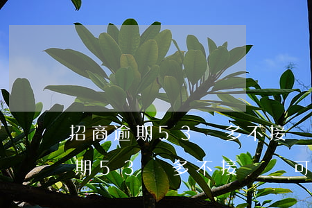 招商逾期53萬多不接電話可以嗎-招商逾期53萬多不接電話可以嗎怎么辦