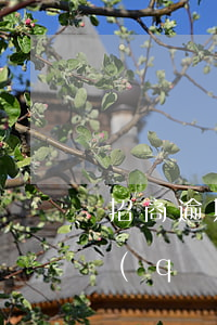 招商逾期5年結(jié)清可以再次申請(qǐng)嗎
