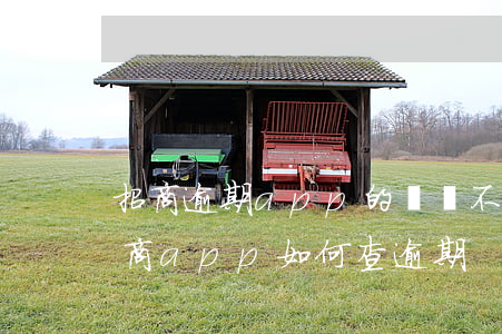招商逾期app的賬單不真實(shí)(招商app如何查逾期)