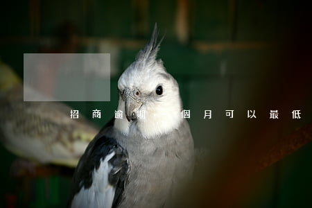 招商逾期一個月可以最低還款嗎-