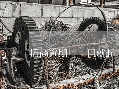招商逾期一個月就起訴了