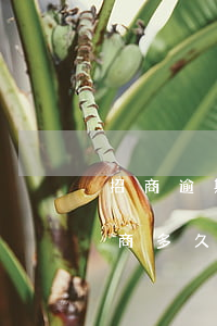招商逾期一年親身經(jīng)歷上海(招商多久算逾期)