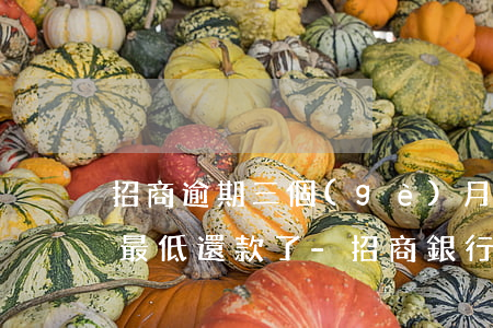 招商逾期三個(gè)月已經(jīng)最低還款了-招商銀行卡逾期三個(gè)月,還了最低款,非要還完全款怎么辦