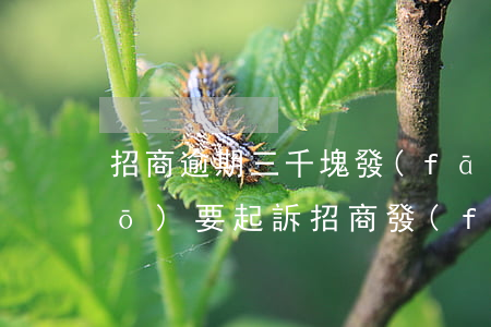 招商逾期三千塊發(fā)短信說(shuō)要起訴 招商發(fā)短信來(lái)說(shuō)惡意拖欠