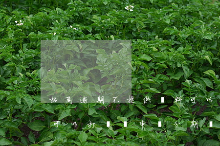 招商逾期不提供資料可以分期嗎-招商逾期可以打電話申請分期嗎