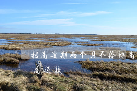 招商逾期两个月不给协商还款(招商不同意协商还款)