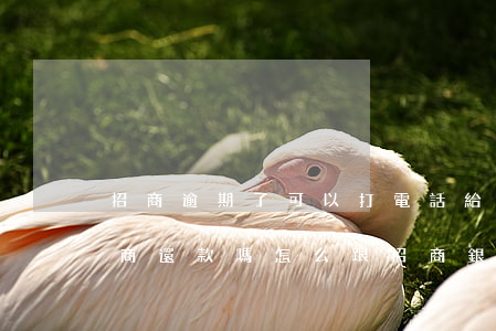 招商逾期了可以打電話給銀行協(xié)商還款嗎（怎么跟招商銀行逾期協(xié)商全額還款）