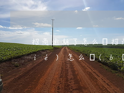 招商逾期了怎么辦（招商信用卡逾期凍結(jié)怎么補(bǔ)救）