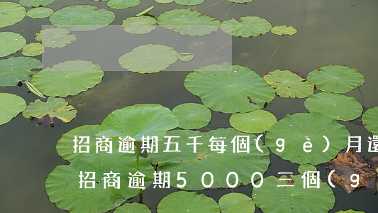招商逾期五千每個(gè)月還幾百行嗎-招商逾期5000三個(gè)月會(huì)怎么樣