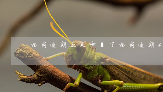 招商逾期五天降額了(招商逾期6天)