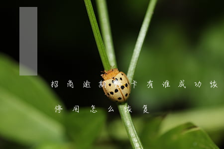 招商逾期停卡有谁成功恢复（招商信用卡逾期停用怎么恢复）