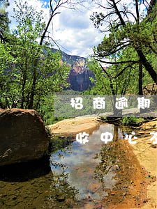 招商逾期催收要盡快還款(招商信用卡逾期催收中心不給你打電話了)