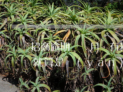 招商逾期兩個月還有救嗎-招商逾期兩個月就算是嚴(yán)重逾期嗎