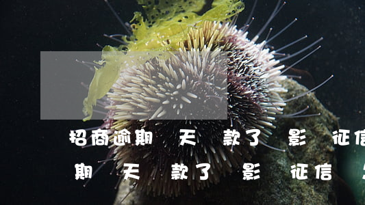 招商逾期兩天還款了還影響征信嗎-招商逾期兩天還款了還影響征信嗎怎么辦