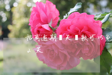 招商逾期兩天還款可以免利息嘛-招商逾期2天