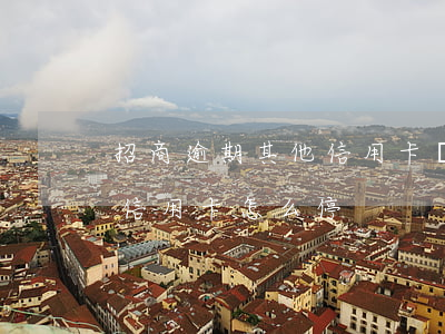 招商逾期其他信用卡會(huì)停(停招商信用卡怎么停)