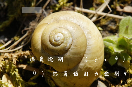 招商逾期凍結(jié)后多久能恢復(fù)（招商信用卡逾期90天還能解凍嗎）