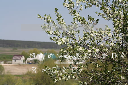 招商逾期利息能全部減免嗎上海-招商逾期可以減免嗎?