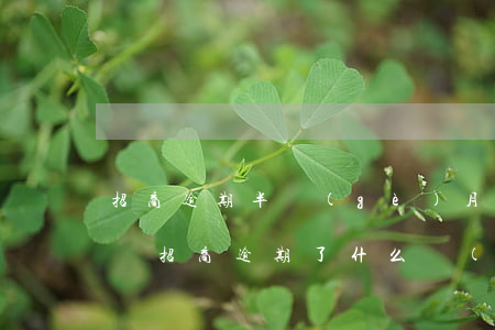 招商逾期半個(gè)月了會(huì)怎樣（招商逾期了什么時(shí)候能辦）