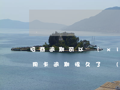 招商逾期可以協(xié)商還款嗎(招商信用卡逾期很久了協(xié)商還款有成功的嘛)