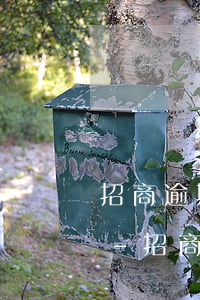 招商逾期后協(xié)商分期可以成功嗎-招商逾期后協(xié)商分期可以成功嗎