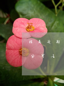 招商逾期后必須全額還款嗎（招商逾期漲的部分可以減免嗎）