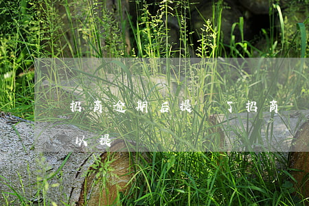 招商逾期后提額了（招商銀行信用卡逾期后可以提額嗎）