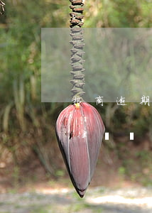 招商逾期問(wèn)我要請(qǐng)律師嗎(招商逾期應(yīng)該打什么電話協(xié)商)
