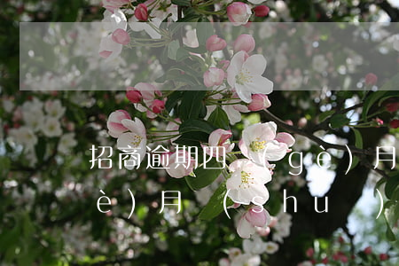 招商逾期四個(gè)月(招商逾期四個(gè)月說(shuō)起訴了要拘留)