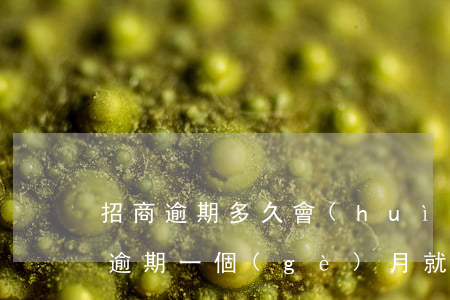 招商逾期多久會(huì)被起訴花旗(招商逾期一個(gè)月就起訴了)