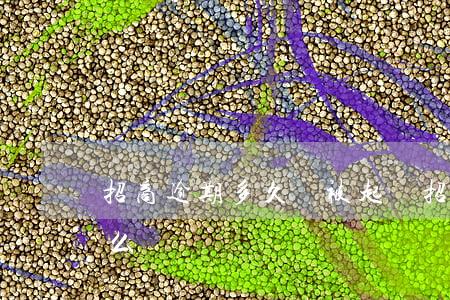 招商逾期多久會被起訴（招商逾期半年起訴怎么辦）