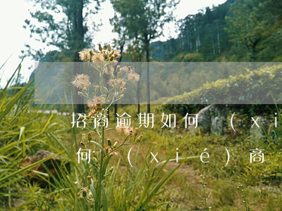 招商逾期如何協(xié)商-招商逾期如何協(xié)商還款