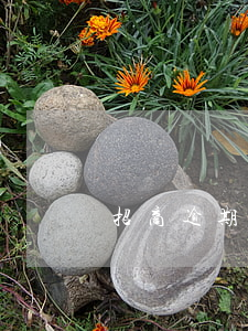 招商逾期如何處理(招商一般可以逾期幾天)