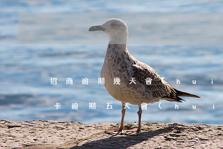 招商逾期幾天會(huì)降額嗎（招商信用卡逾期五天會(huì)降低額度嗎）