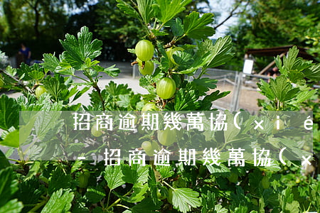 招商逾期幾萬協(xié)商不同意怎么辦-招商逾期幾萬協(xié)商不同意怎么辦呢