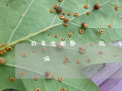 招商逾期影響貸款嗎(征信逾期過辦招商能通過嘛)